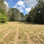 Ranchland for sale in Holmes County