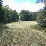 Holmes County Agricultural property for sale