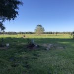 St. Landry Parish Residential property for sale