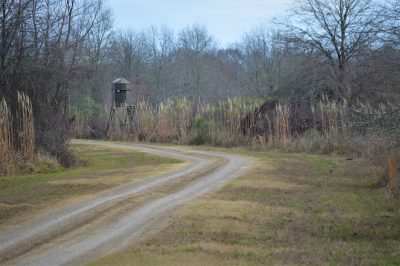 Timberland property for sale in Concordia Parish