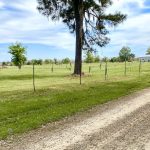 Natchitoches Parish Residential property for sale