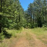 Hot Spring County Investment property for sale