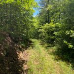 Hot Spring County Development land for sale