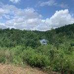 Investment land for sale in Hot Spring County