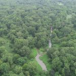 Miller County Hunting property for sale