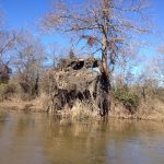 Miller County Hunting property for sale