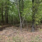 Miller County Hunting land for sale