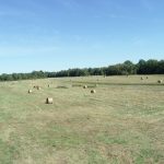 Ranchland for sale in Miller County