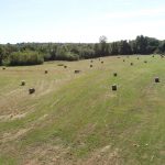 Investment land for sale in Miller County