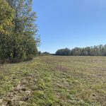Miller County Ranchland property for sale