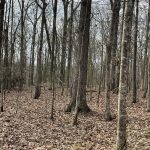 Hempstead County Investment land for sale