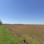 Little River County Agricultural land for sale