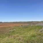 Investment land for sale in Little River County