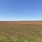 Little River County Ranchland property for sale