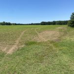 Ranchland for sale in Monroe County
