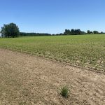 Monroe County Ranchland for sale