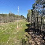 Miller County Timberland for sale