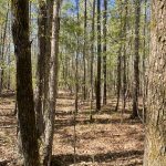 Recreational land for sale in Miller County