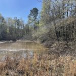 Recreational property for sale in Miller County