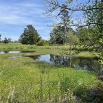 Recreational land for sale in Miller County