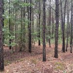 Miller County Recreational property for sale