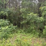 Miller County Recreational land for sale