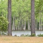 Lafayette County Recreational property for sale
