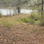 Lafayette County Timberland property for sale