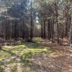 Recreational land for sale in Lafayette County