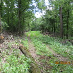 Montgomery County Timberland property for sale