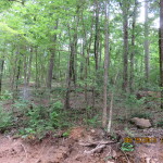 Montgomery County Recreational property for sale