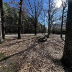 White County Recreational land for sale