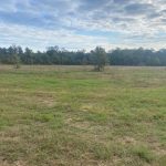 Recreational land for sale in Cleveland County