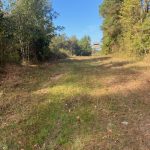 Recreational land for sale in Cleveland County
