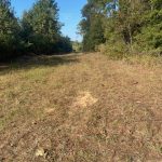 Recreational property for sale in Cleveland County