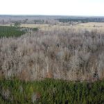 Drew County Timberland for sale