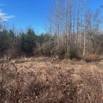 Timberland property for sale in Drew County
