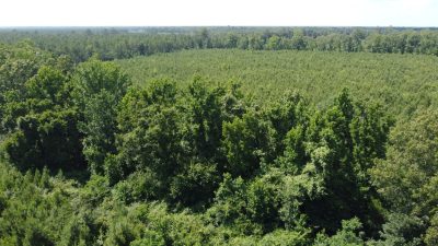 Drew County Recreational land for sale