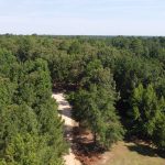 Cleveland County Timberland for sale