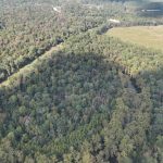 Investment land for sale in Drew County