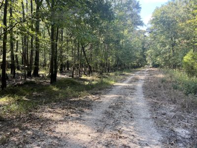 Drew County Recreational land for sale