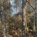 Investment property for sale in Union Parish