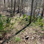 Catahoula Parish Residential property for sale