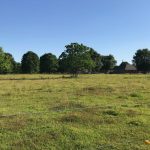 Beauregard Parish Agricultural land for sale