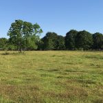 Ranchland for sale in Beauregard Parish