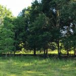 Agricultural property for sale in Beauregard Parish