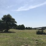 Ranchland property for sale in Beauregard Parish