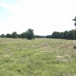 Beauregard Parish Agricultural property for sale