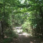 Recreational land for sale in Sabine Parish