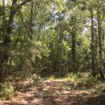 Investment property for sale in Sabine Parish